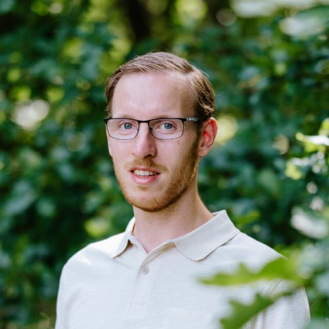 Arne 2026